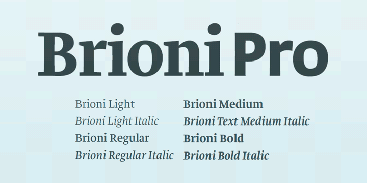 Example font Brioni Sans Pro #1