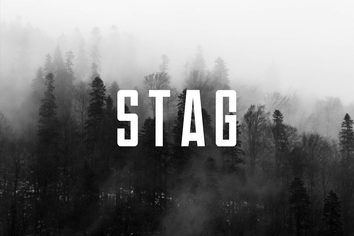 Example font Stag #1