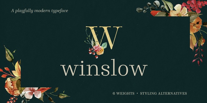 Example font Winslow Book #1