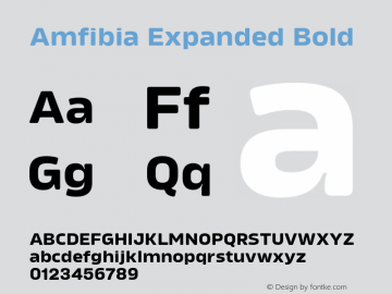 Example font Amfibia Expanded #1