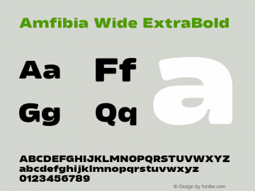 Example font Amfibia Wide #1