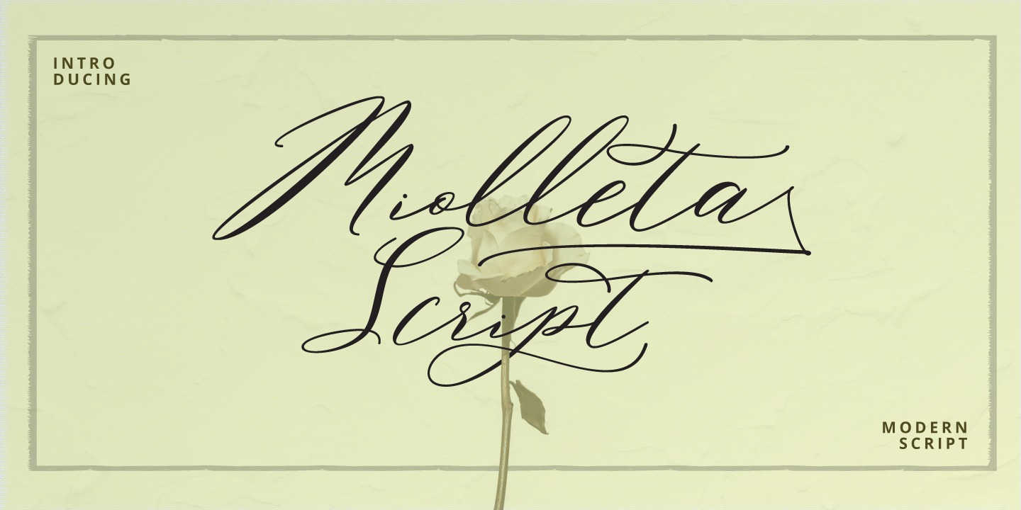 Miolleta Script Font