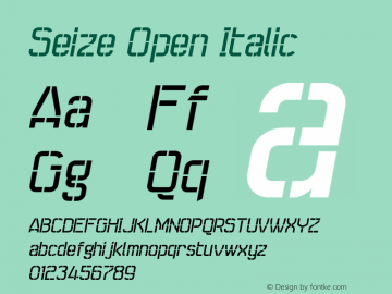 Example font Seize #1
