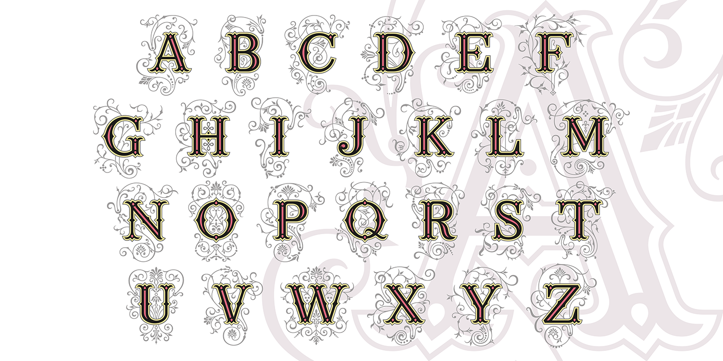 Ana Script Ana Font