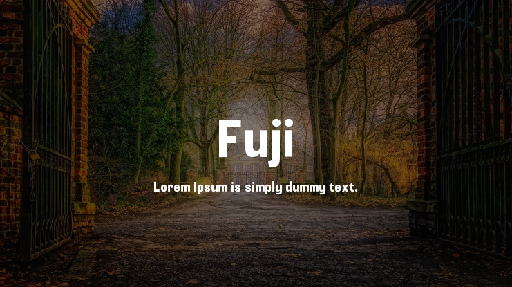 Example font Fuji #1