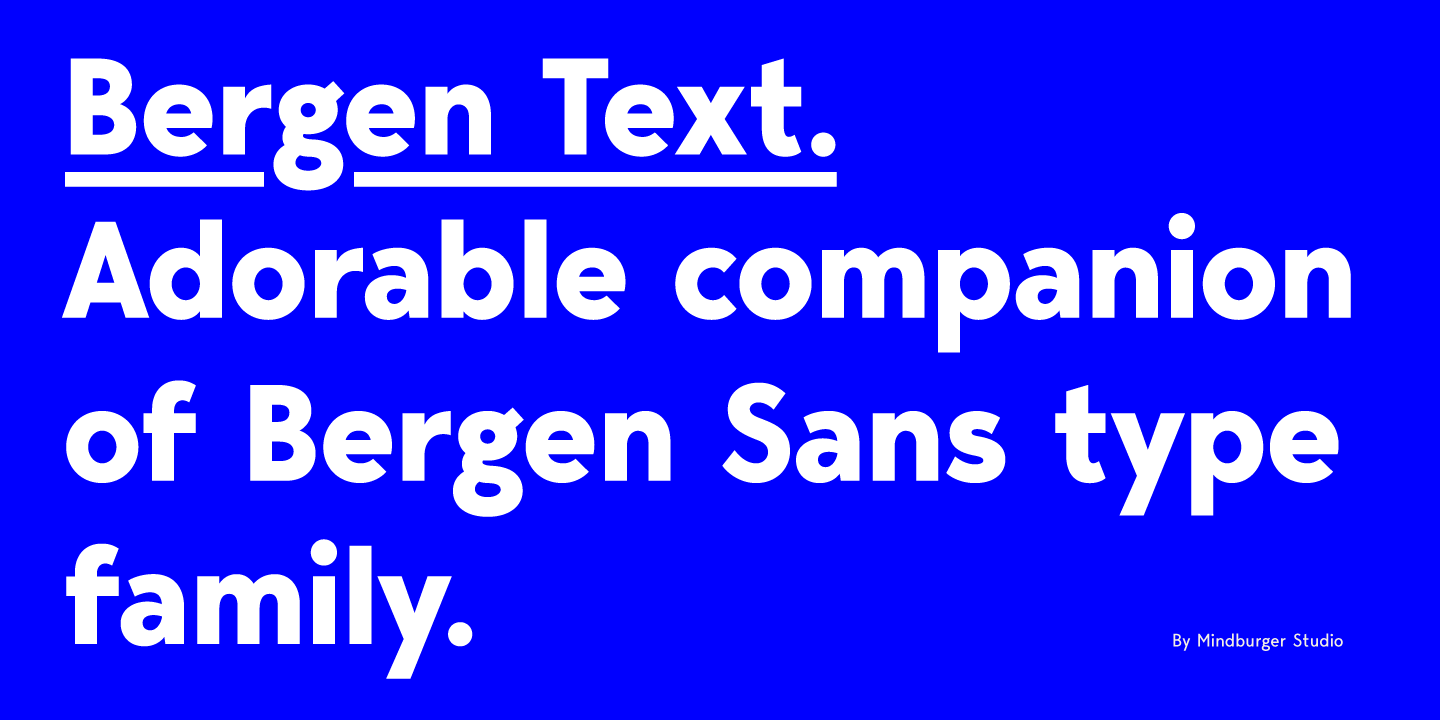 Example font Bergen Text #1