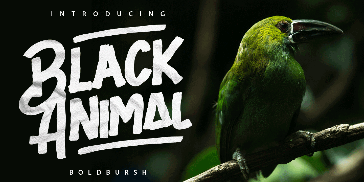 Example font Black Animal #1