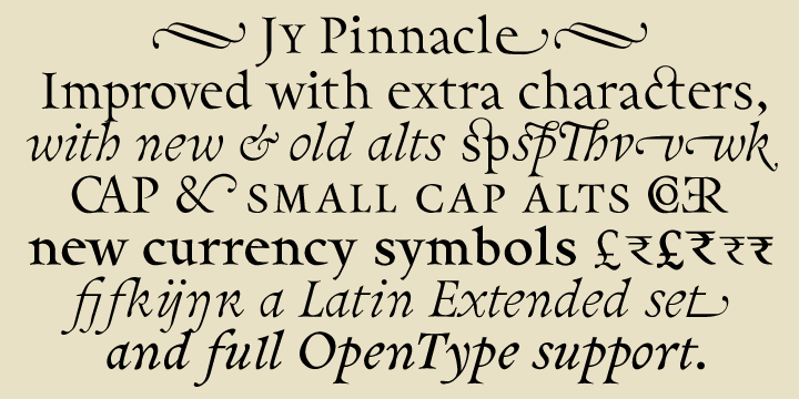 Pinnacle JY Pro Font