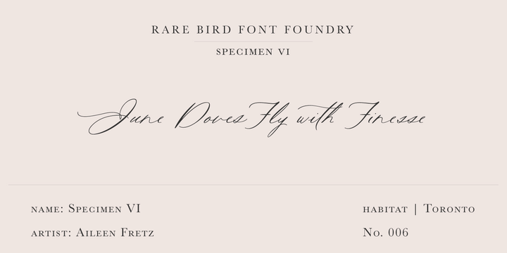 Example font Rare Bird Specimen VI #1