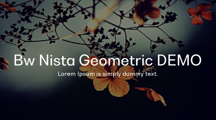 Example font Bw Nista Geometric #1