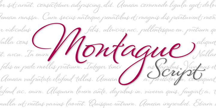 Montague Script Font