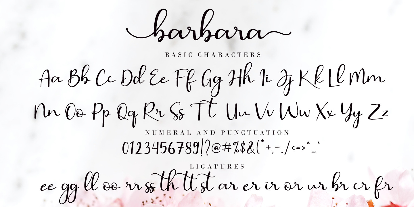 Barbara Calligraphy Font