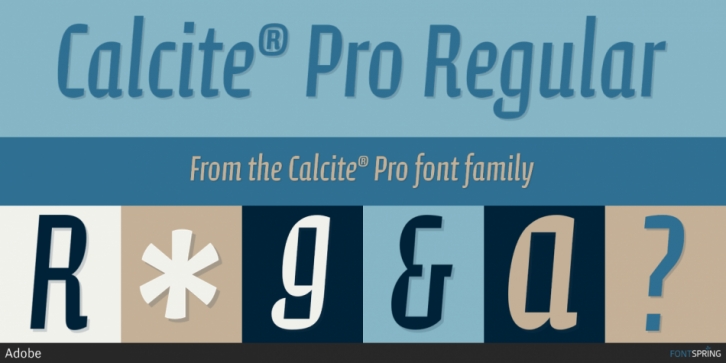 Example font Calcite Pro #1