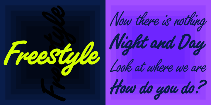 Example font Freestyle Script #1