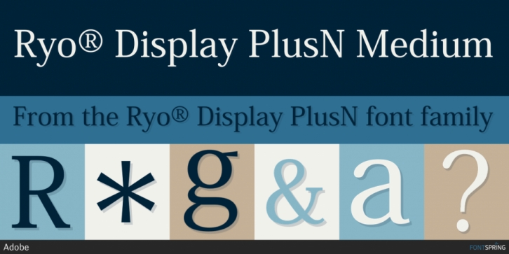 Ryo Display Font
