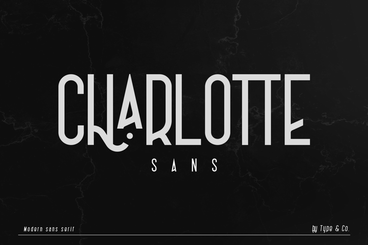 Charlotte Sans Font