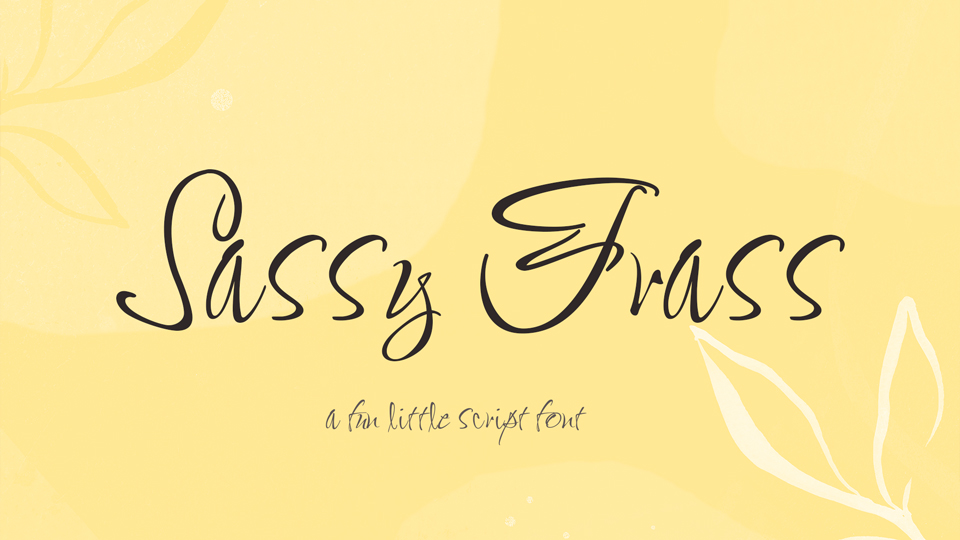 Example font Sassy Frass #1