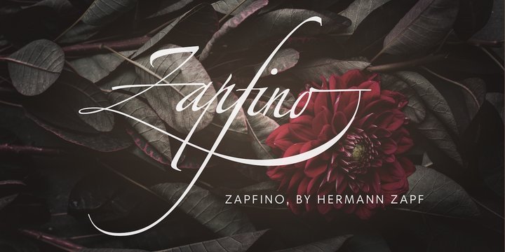 Example font Zapfino Extra #1