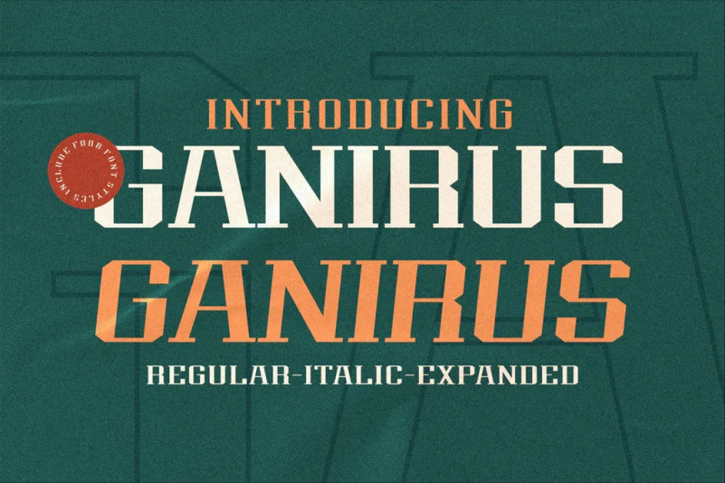 Example font Ganirus #1