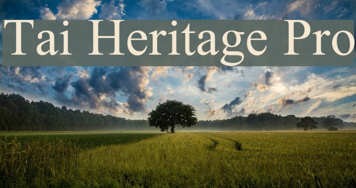 Tai Heritage Pro Font