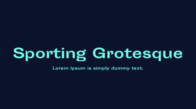 Sporting Grotesque Font