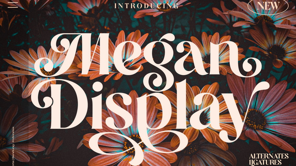 Megan Display Font