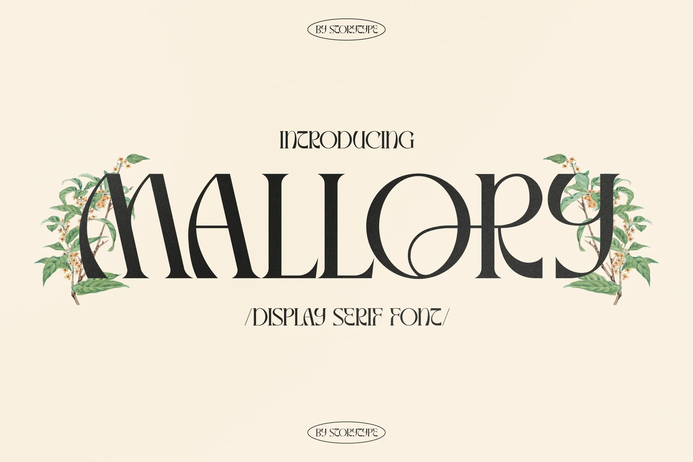 Example font Mallory Display Serif #1