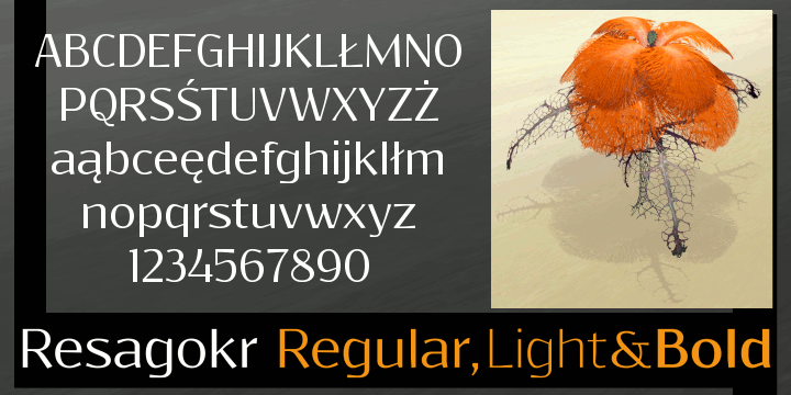 Resagokr Font