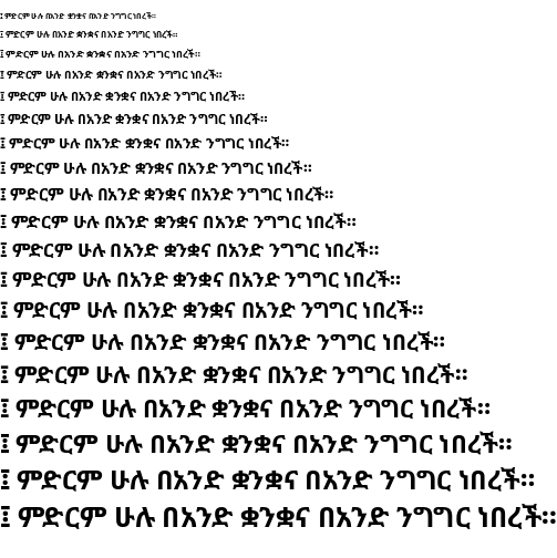 Example font Noto Sans Ethiopic #1