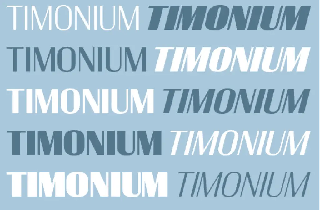 Example font Timonium #1