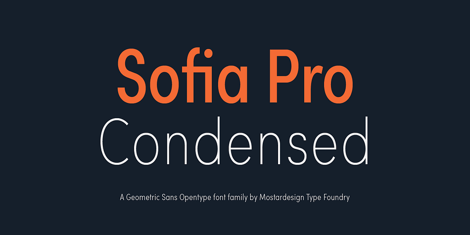 Example font Sofia Sans Condensed #1
