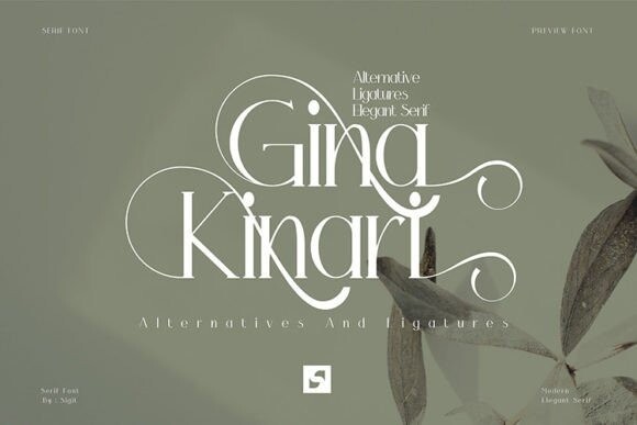 Gina Kinari Font