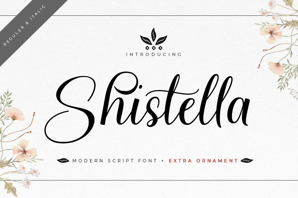 Example font Shistella #1