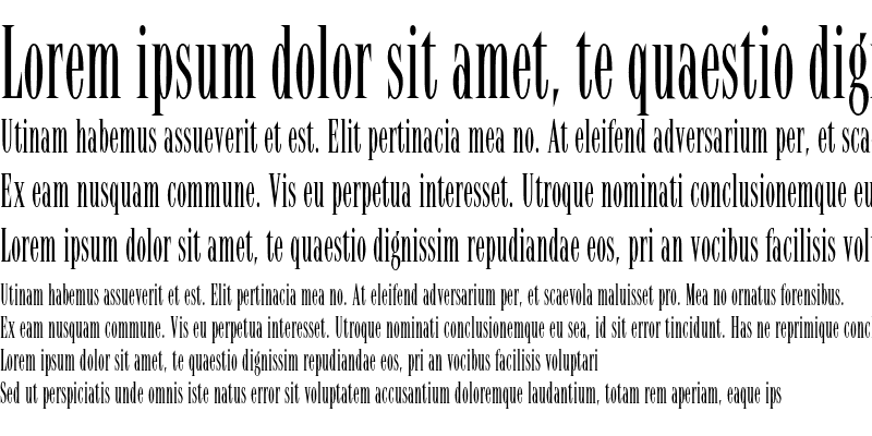 Latino Elongated Font