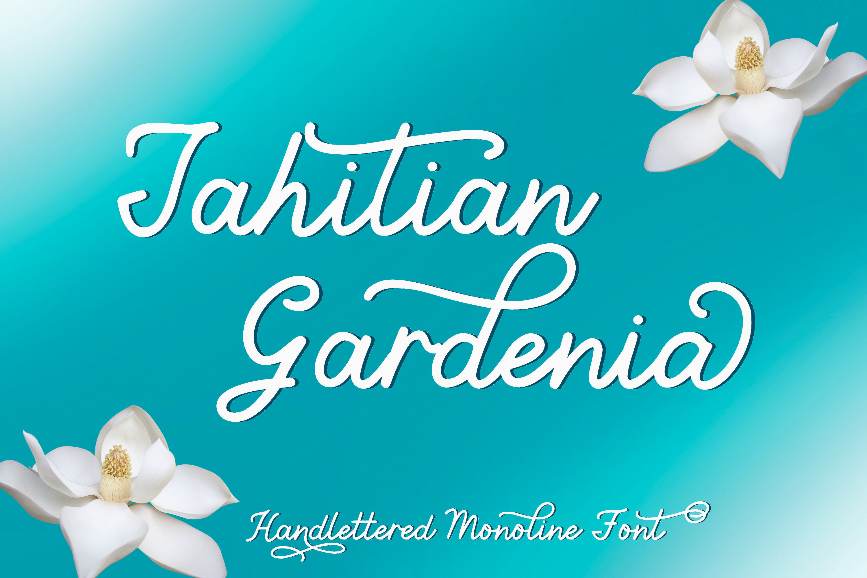 Example font Tahitian Gardenia #1