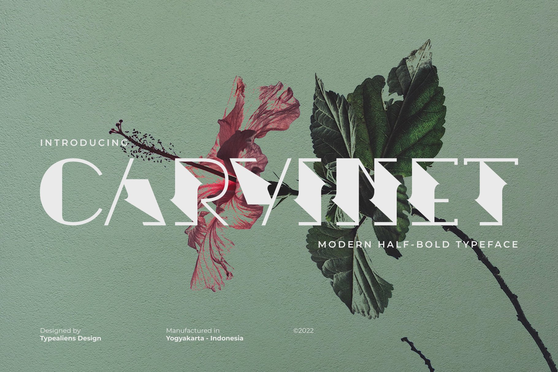 Example font Carvinet #1