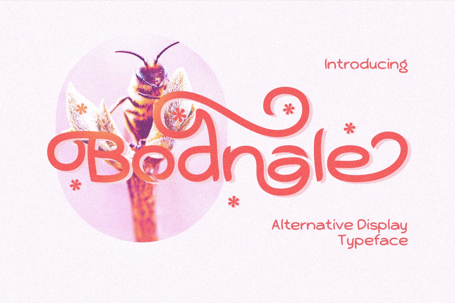 Bodnale Font