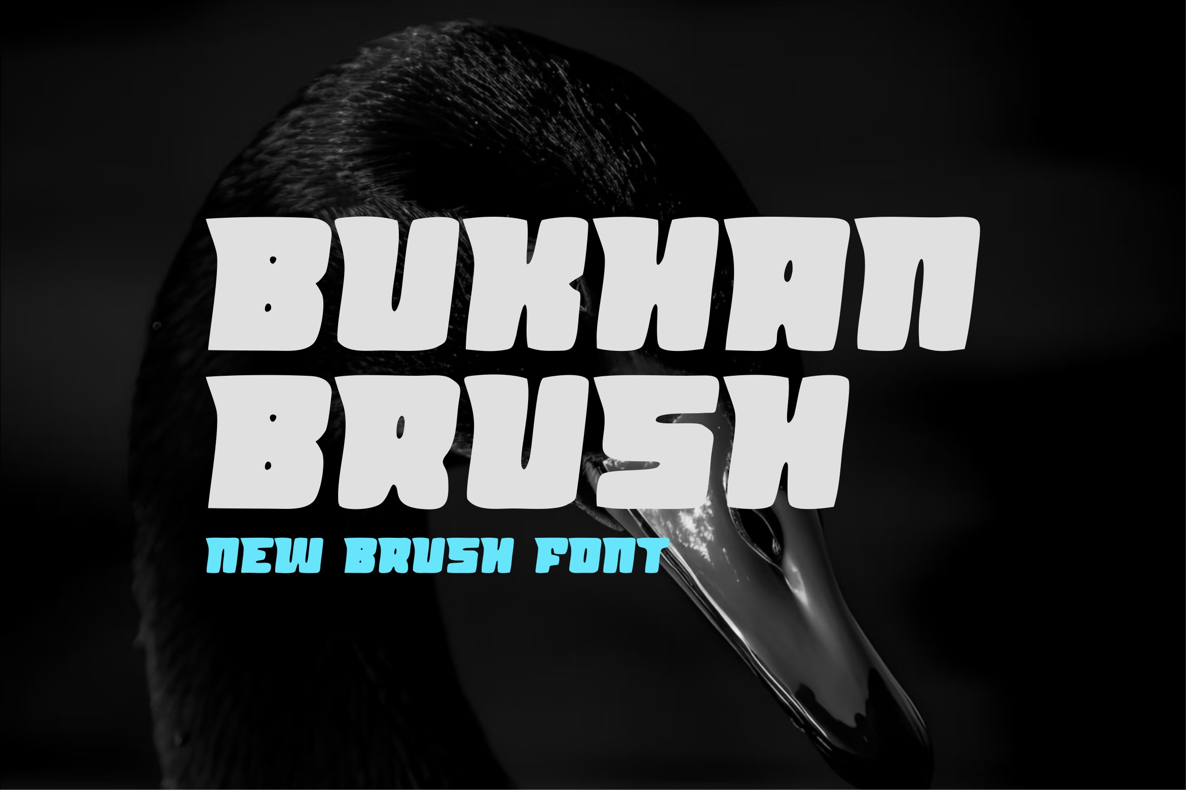 Bukhan Brush Font