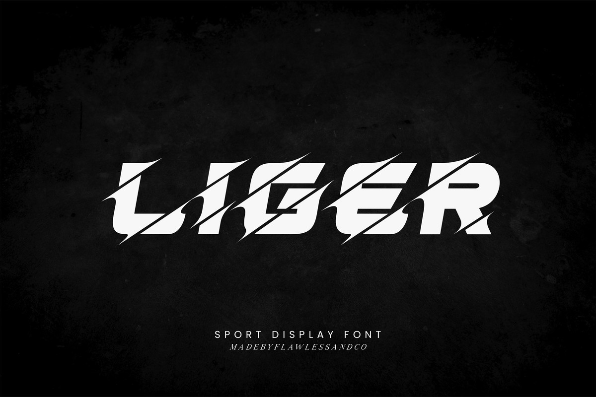Example font Liger #1