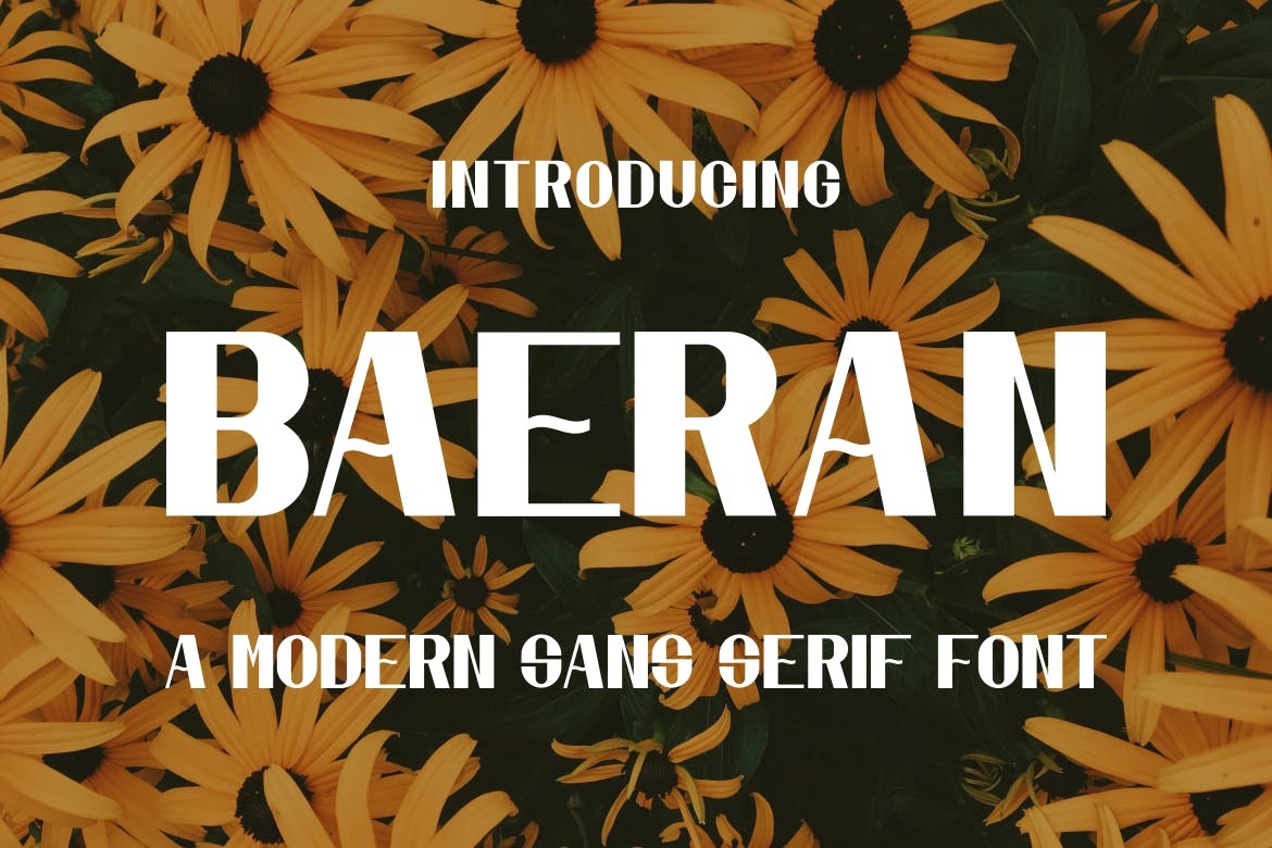 Example font Baeran #1