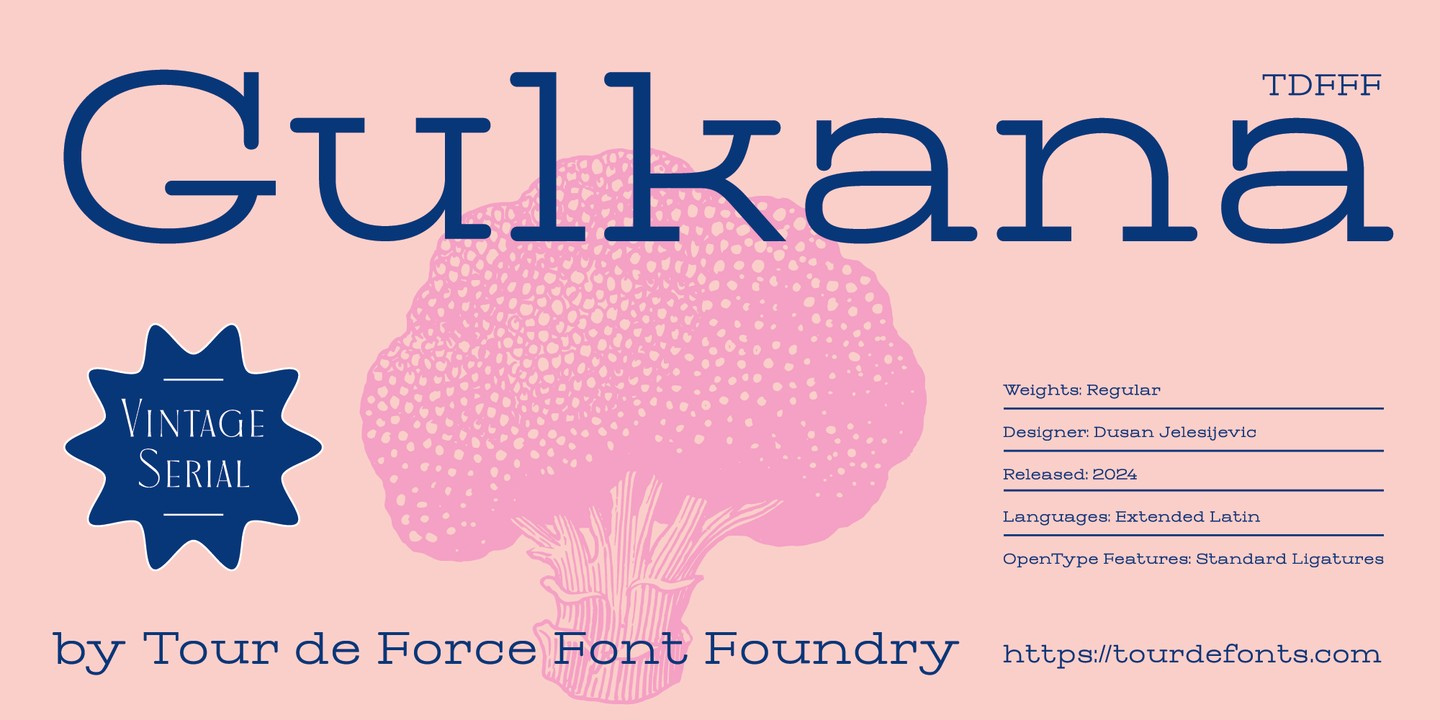 Gulkana Font