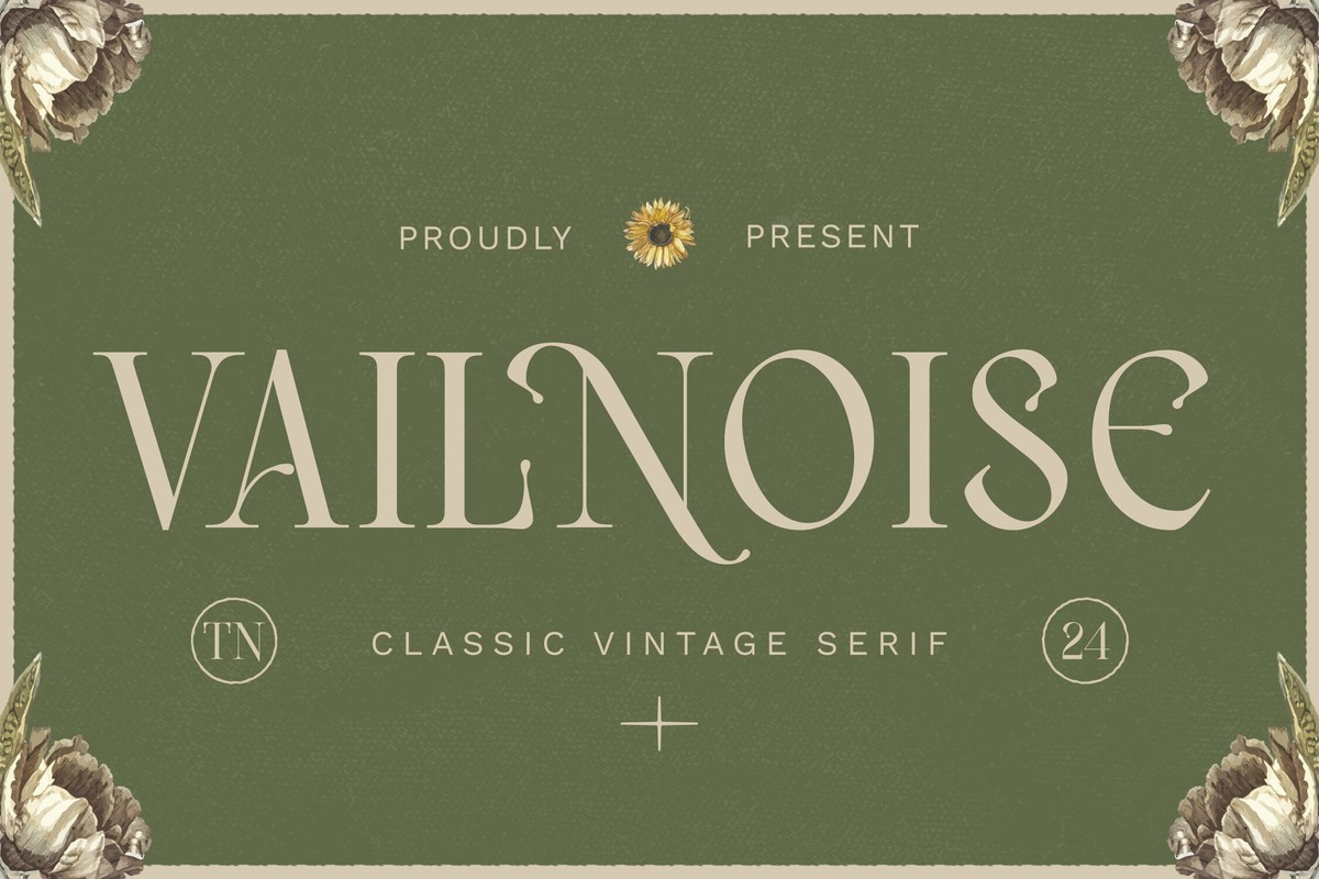 Vailnoise Font