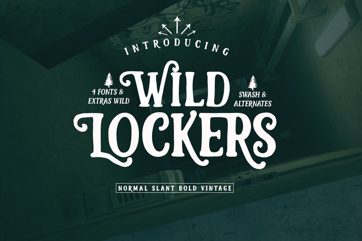 Wild Lockers Font